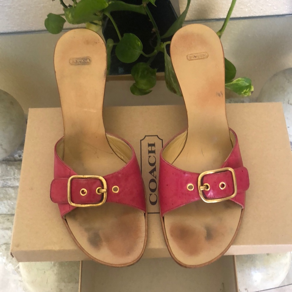 Coach Traci Kerala Calf